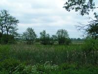 Klik op de foto voor groter formaat